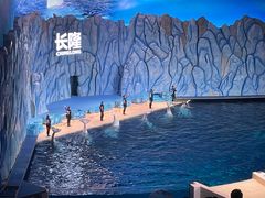 -珠海长隆海洋王国