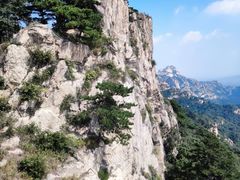 -大芦花风景区