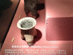 -古陶文明博物馆