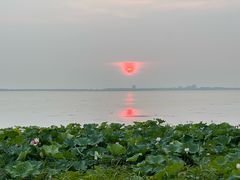 -阳澄湖费尔蒙酒店