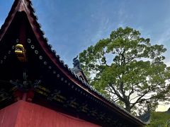 -天台山琼台仙谷景区
