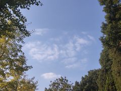 -上海市龙华烈士陵园