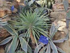 -国家植物园南园