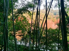 -广州市白云山风景名胜区