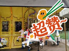 -东平国家森林公园