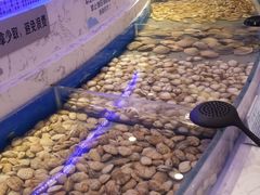 -澜悦港海鲜体验主题餐厅