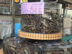 -荔城生鲜盛宴(番禺旗舰店)