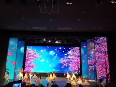 -美育儿童音乐舞蹈国际机构(浦东分校)