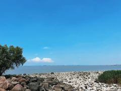 -上海吴淞炮台湾国家湿地公园