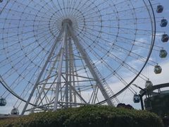 -琴岛之星摩天轮