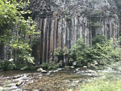 -望天鹅景区