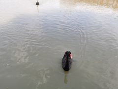 -长兴太湖图影湿地文化园