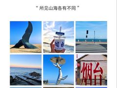 -养马岛旅游度假区