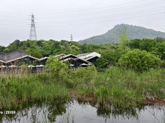 -西湖风景区-江洋畈生态公园