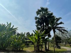 -中国科学院西双版纳热带植物园