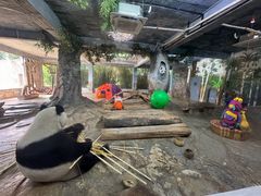 -海南热带野生动植物园