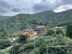 -树山生态村