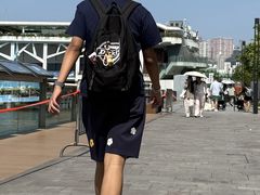 -星光大道