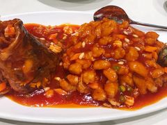 松鼠桂鱼-蝶园·装修中(BFC外滩金融中心店)