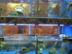 水产区-龙溪海鲜酒家(溪涌店)