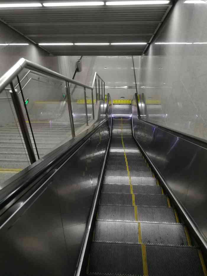 滨河路(地铁站)-"今日春分94 "错过了秋枫冬雪,便会迎.