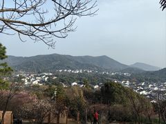 -香雪海