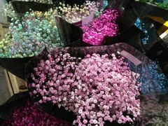 -秦美花卉(天朗·莱茵小城2期店)