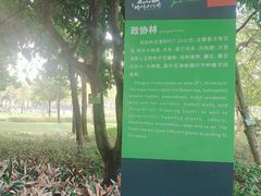 -顺峰山公园