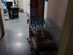 -爱侣宠医·鹦鹉专科·小型哺乳类·异宠专科(灵石路店)