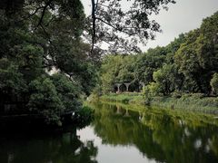 -荔湾湖公园