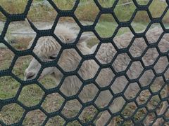 -嘉北郊野公园