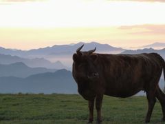 -蔚县茶山村