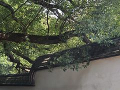 -乌山风景区