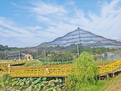 -鄱阳湖国家湿地公园
