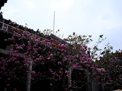 -陈家祠堂-游客中心