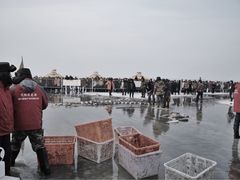 -卧龙湖