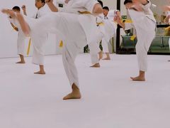 -极真空手道修远道场