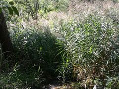 -碓臼峪自然风景区