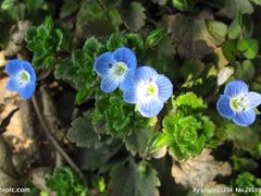 -清远鱼水旅游风景度假区