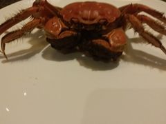 -OPEN開全日自助餐厅·牛肉火锅·海鲜(佛山希尔顿酒店)