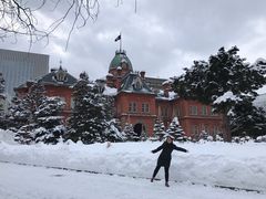 -北海道厅旧本厅舍(旧本庁舎)