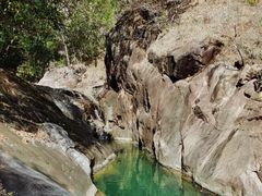 -广州白江湖森林公园