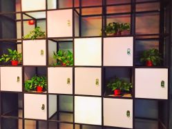 点击看大图 -MAGIC米几发型设计·羊毛卷