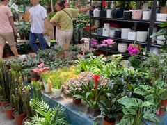 -秦美花卉(天朗·莱茵小城2期店)