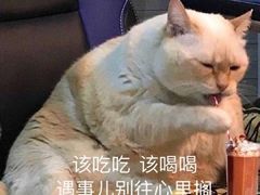 -煲宫(华润万象城店)