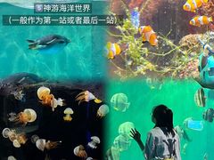 -威海华夏城景区