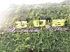 -横店影视城梦幻谷园区