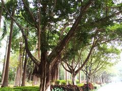-南宁南湖公园
