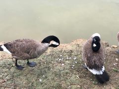 -艾溪湖湿地公园