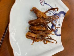 -丁老爷子苏香圆